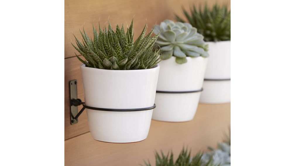 Gancho de Pared para Macetas - cratebarrelco