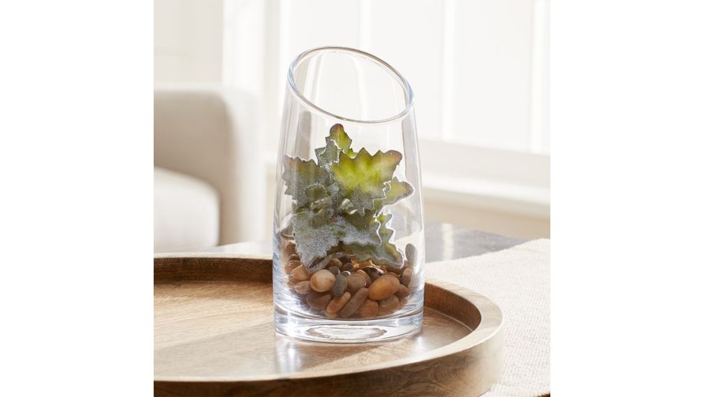 Guijarros Naturales Decorativos Multicolor - cratebarrelco